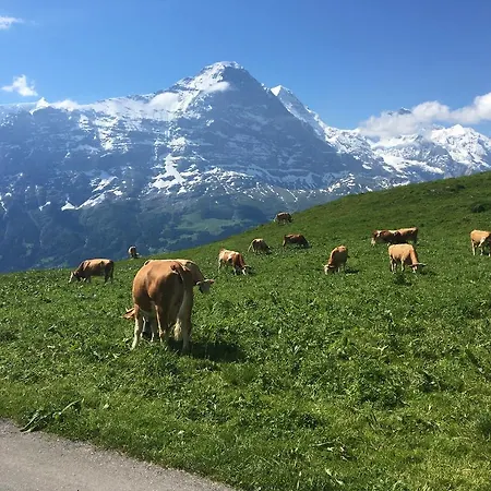 Apartmán Locherboden Grindelwald
