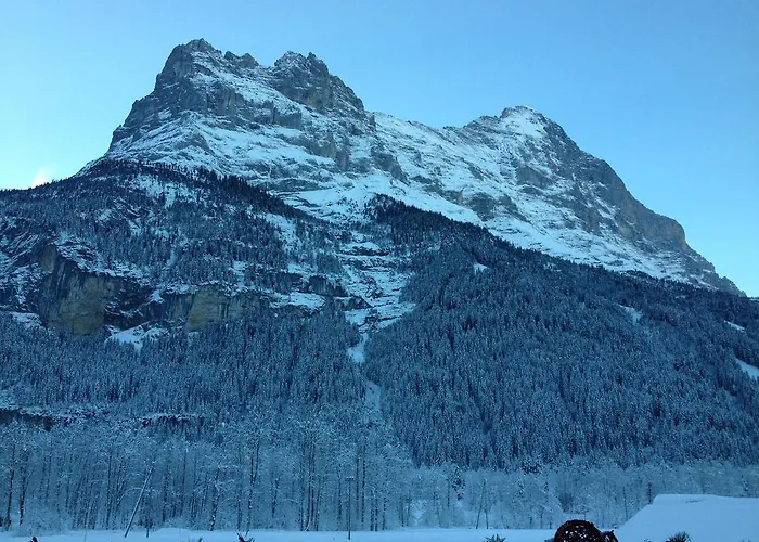 Locherboden Lägenhet Grindelwald