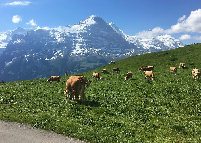 Lägenhet Locherboden Grindelwald